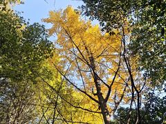 -杭州电子科技大学(下沙校区)