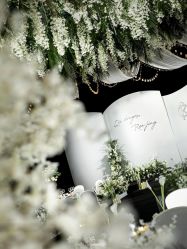 -红丝高端婚礼中心(旗舰店)