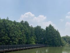 -海珠湖公园