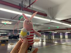 -上海浦东国际机场T1航站楼-P1停车场