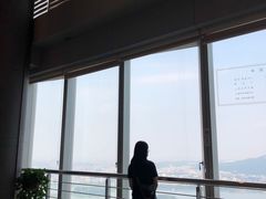 -紫峰大厦