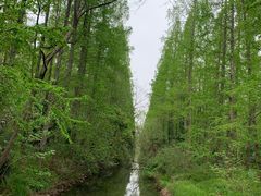 -东平国家森林公园