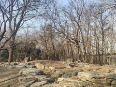 -廊坊市自然公园