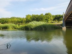 -马家湾湿地公园