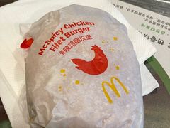 -麦当劳(金山红星美凯龙DT店)