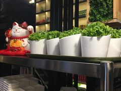 -韩聚屋韩国烤肉餐厅(新北万达店)