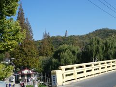 -上海佘山国家森林公园天马山园