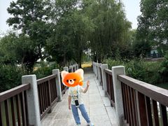 -长兴太湖图影湿地文化园