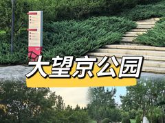 -大望京公园