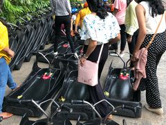 -圣淘沙天际线斜坡滑车