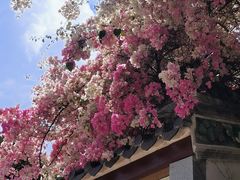 -深圳国际园林花卉博览园