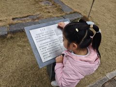-广悦华阳朔河畔度假酒店(十里画廊遇龙河店)