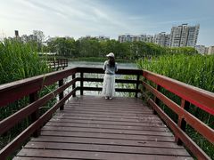 -新江湾城公园