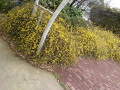 -木槿校园影城(闵行交大菁菁堂店)