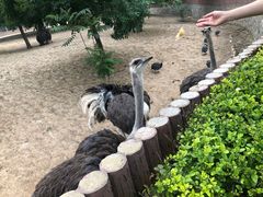 -石家庄市动物园