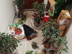 -郑州植物园