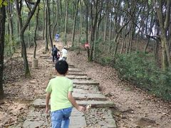 -西湖风景区十里琅珰-五云山