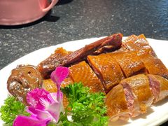 -河畔春天时尚餐厅