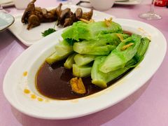 生菜-宝燕壹号(徐汇店)