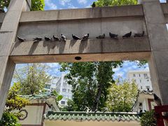 -园圃街雀鸟花园