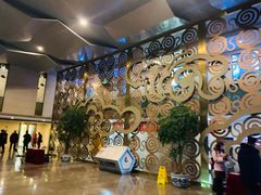 -天幕新彩云国际影城(激光巨幕店)