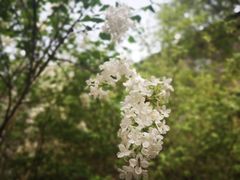 -山东大学(趵突泉校区)