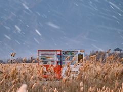-野鸭湖国家湿地公园