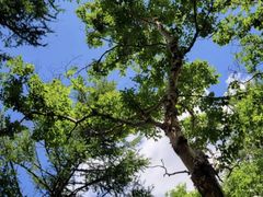 -白草畔自然风景区