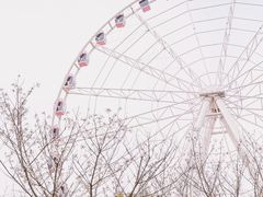 -顾村公园3号门停车场