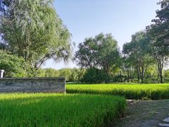 -北坞公园