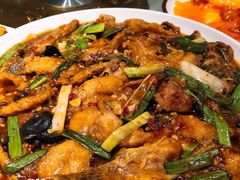 -巴特餐饮6加1音乐餐吧·新疆菜