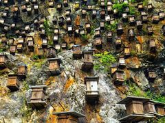 -神农架景区