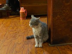 -嘎咓讓咘藏餐厅(团结新村店)