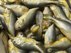 -芦潮港集贸市场