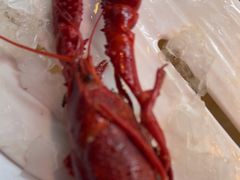-红盔甲·小龙虾(车公庙店)