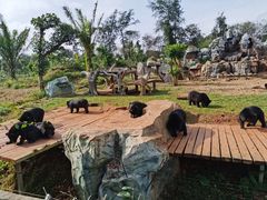 -海南热带野生动植物园