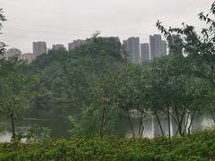 -重庆彩云湖湿地公园