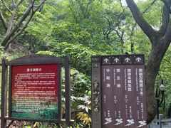 -句容茅山景区