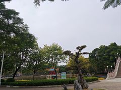 -金砂公园