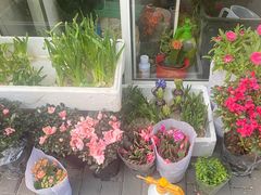 -爱尚花坊(大林路店)