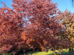 -黑龙江省森林植物园