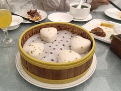 -乐和餐饮(活力源店)