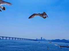-星海广场