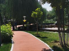 -头壹号饸饹面·大油条(东升科技园店)