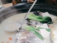 -7017浙菜•建德味(中财店)