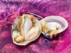 -板桥海鲜广场(文明东店)