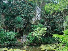 -中国科学院西双版纳热带植物园