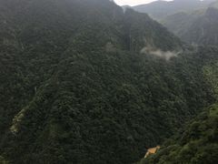 -江南天池