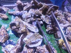 -集杰尚品海鲜烤肉自助餐厅(乳山振华店)