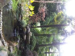 望江楼公园-望江楼公园